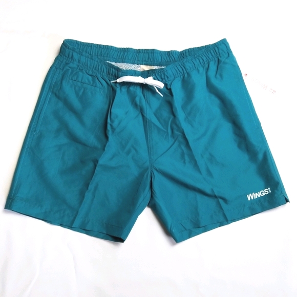 wings beach wear Other - Wings Swim Trunks Shorts Teal Mesh Linned Pockets